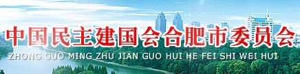 合肥民建