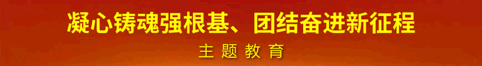 凝心铸魂强根基、团结奋进新征程